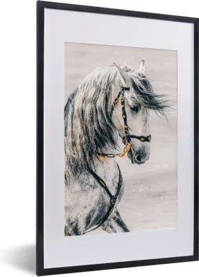 Produktbild von MuchoWow® MuchoWow® Gerahmtes Poster Pferd - Gold - Halfter 40x60 cm - Poster mit zchwarzem Bilderrahmen - Poster in Rahmen