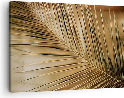 Produktbild von Bild auf Leinwand - Leinwandbild - Einteilig - Blatt Gold Pflanze - 70x50cm - Wand Bild - Wanddeko - Wandbilder - Leinwanddruck - Bilder - Wanddekoration - Leinwand bilder - Wandbild - AA70x50-5041