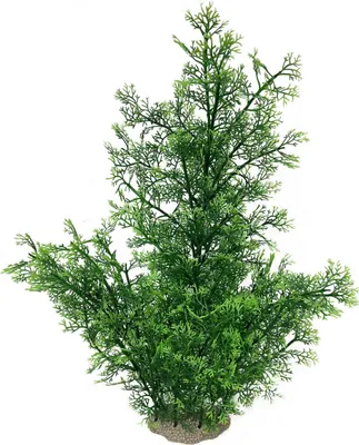 Produktbild von Aqua Della Aquarium Dekoration Phoenix grün