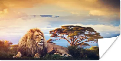 Produktbild von MuchoWow® Poster Löwe - Gemälde - Afrika 120x80 cm - Bilder
