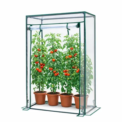 Produktbild von KANWOD Gewächshaus Garten mit Aufrollbarer Tür, Transparent Folie 140 g/m2, 150x100x50 cm