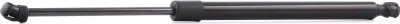 Produktbild von RIDEX 219G0270 Gasfeder Heckklappendämpfer für AUDI A6 Avant (4B5, C5) 483mm