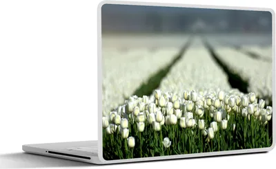 Produktbild von MuchoWow® Laptop Aufkleber Sticker Cover Nahaufnahme eines Feldes voller weißer Tulpen 25x18 cm - Laptop-Deko