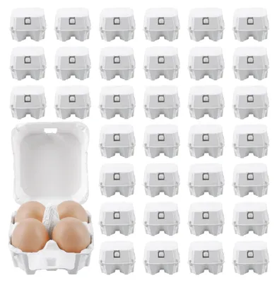 50 Stück Eierkartons, 4-teilige Karton-Eierbox mit Deckel