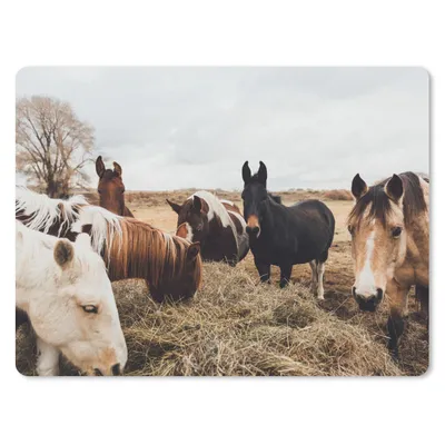 Produktbild von MuchoWow® Mauspad Mousepad Tiere - Pferd 40x30 cm - Mousepads - Maus Mat - Pad - Mausunterlage - Anti Rutsch