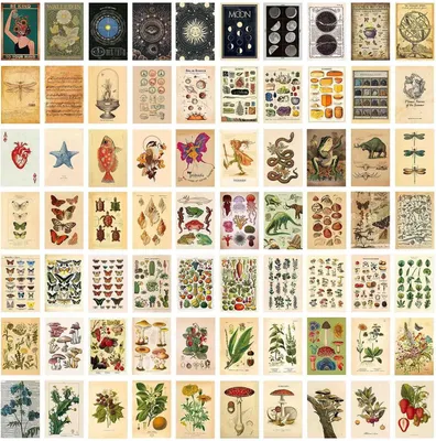 Obrázek produktu pro Sada vintage nástěnných dekorací s motivy rostlin, 70 kusů, rozměry 10,2 x 15,2 cm, dekorace na zeď do domácnosti