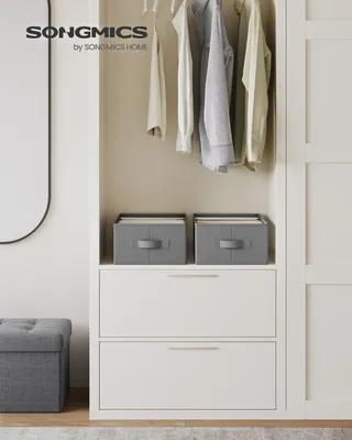 Produktbild von SONGMICS Kleiderschrank-Organizer 2er Set, Aufbewahrungsbox 6 Fächer, Schubladen-Ordnungssystem, Ordnungsboxen faltbar, 42 x 30 x 17 cm, für Hosen