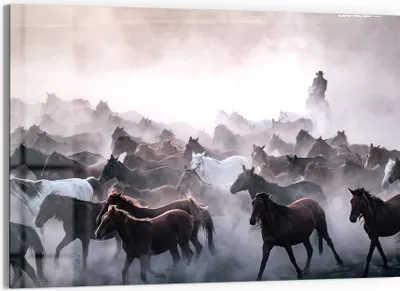 Produktbild von DEQORI Glasbild Echtglas 90x60 cm 'Sturm der Wildnis' Wandbild Bild modern Deko