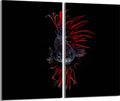 Produktbild von Herdabdeckplatten 2 teilig 30x52 Glaskeramikkochfeld Abdeckung Glas, Fische Schwarz