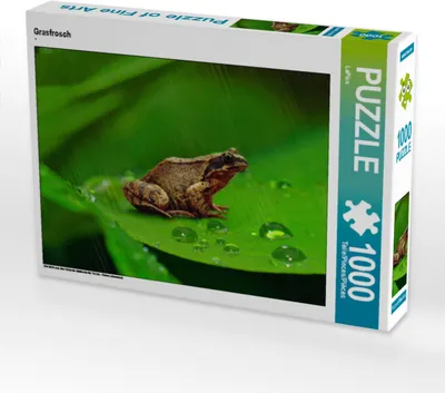 Produktbild von CALVENDO Puzzle Grasfrosch | 1000 Teile Lege-Größe 64x48cm Foto-Puzzle für glückliche Stunden