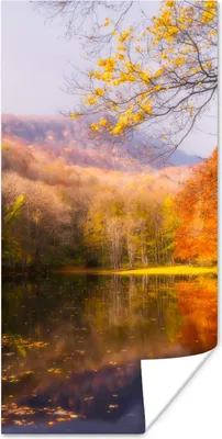 Produktbild von MuchoWow® Poster Natur - Wald - Herbst 20x40 cm - Plakat - Foto