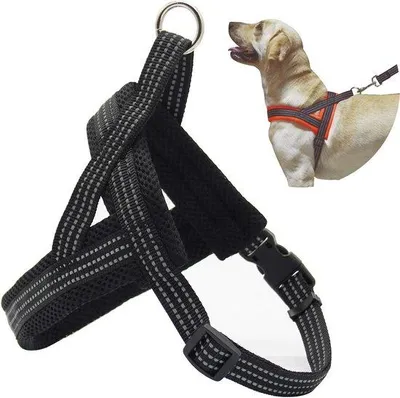 Produktbild von Famanu Hundegeschirr Verstellbar Ergonomisch Neopren Nylon - 4 Größen