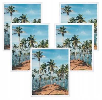 Produktbild von MPINK Bilderrahmen Set 5 Stück 40x50 Weiß