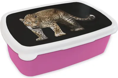Produktbild von KitchenYeah® Lunchbox Brotzeit Brotdose 17x11 cm Leopard - Wild - Schwarz Kinder Brotzeitdose - Lunchpaket - Brotkasten  - Sandwich Box