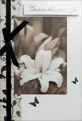 Image de Condoléances - Pan Dragon