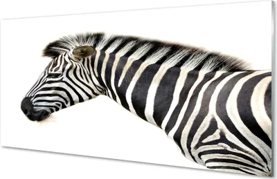 Produktbild von Glasbilder 140x70 Wandkunst Zebra