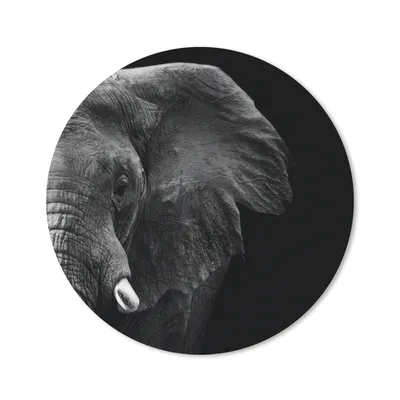 Produktbild von MuchoWow® Mauspad Mousepad Tiere - Elefant - Wild - Schwarz - Weiß 40x40 cm - Mousepads - Maus Mat - Pad - Mausunterlage - Schreibtisch Accessoires