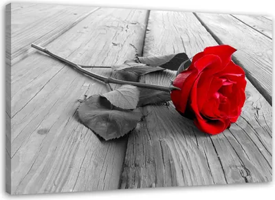 Produktbild von Leinwandbild rote rose 100x70 cm Feeby rot wandbild bereit zum aufhängen