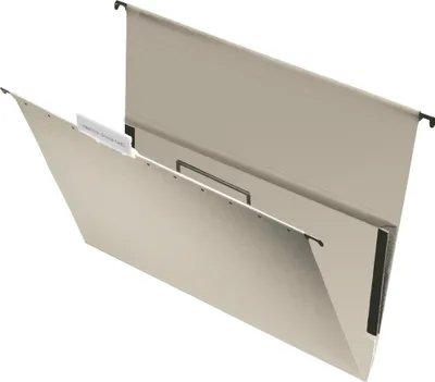 Image de LEITZ Dossier universel/classeur universel, A4, gris