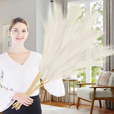 Immagine prodotto di Erba della pampa artificiale, 97 cm, beige, effetto secco, 7 pezzi
