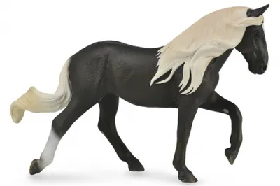 Immagine prodotto di COLLECTA Cavalla delle Montagne Rocciose - (XL)