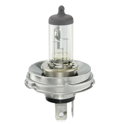 Obrázok produktu pre Osram 4050300222028, 60 V, 3200 K, 1 kusov
