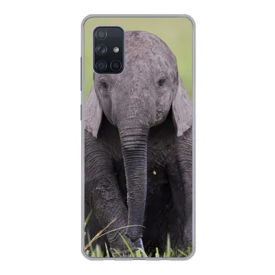 Produktbild von MuchoWow® Handyhülle Schutzhülle Hülle für Samsung Galaxy A71 Elefant - Baby - Tiere - Gras - Natur Silikon Softcase Handy Hülle - Kartenbesitzer