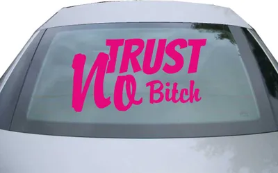 Produktbild von Indigos UG - Aufkleber Heckscheibe & Motorklappe DE6949 - pink - 600x328 mm - Trust no Bitch - Auto Scheiben Fenster Heckklappe Tuning Racing JDM - Die cut