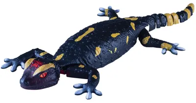 Productafbeelding van Robo Friends: Salamander