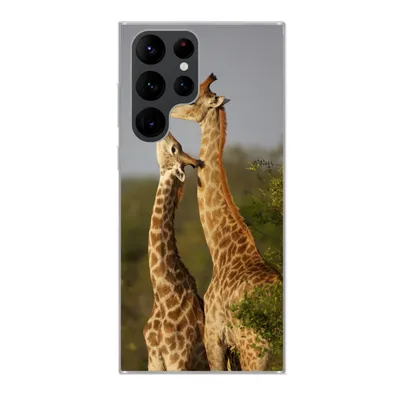 Produktbild von MuchoWow® Handyhülle Schutzhülle Hülle für Samsung Galaxy S22 Ultra Giraffe - Baum - Kalb - Porträt Silikon Softcase Handy Hülle - Abbildung