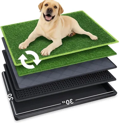 Produktbild von Hundetoilette – Hundeurinolbecken – Stubenreinheitstraining – 5-lagiges Hygienesystem – 76 x 51 cm – Schwarz