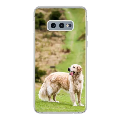 Produktbild von MuchoWow® Handyhülle Schutzhülle Hülle für Samsung Galaxy S10e Schönes Bild eines Golden Retrievers Silikon Softcase Handy Hülle - Handy