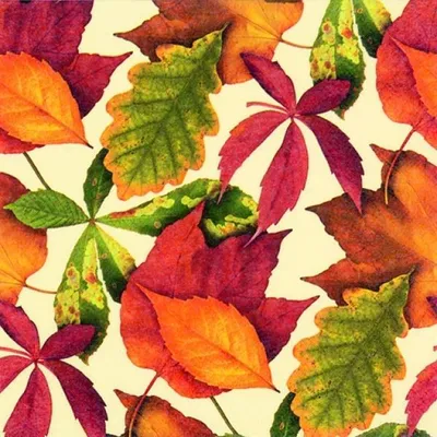 Image de Serviettes 33x33 cm - Foliage ivory