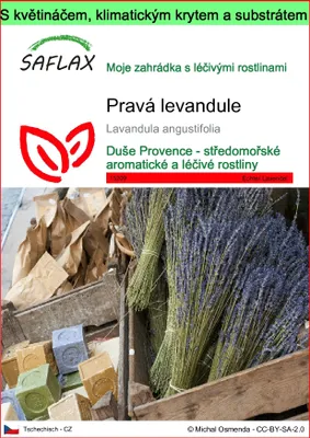 Obrázek produktu pro SAFLAX Garden to go - pravá levandule - Lavandula angustifolia - 150 Semena - S květináčem, klimatickou poklicí a pěstebním substrátem