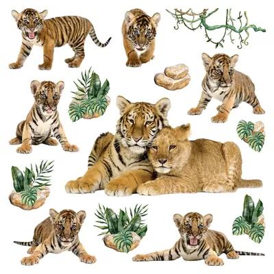 Produktbild von Sanders & Sanders Wandtattoo Tigern Beige und Grün 30 x 30 cm
