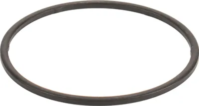 Produktbild von Dichtung für den Kraftstofffilter 77362342
