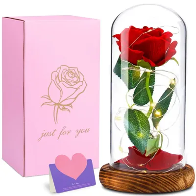 Ewige Rose im Glas mit LED-Licht, 25,4 cm, Geschenk