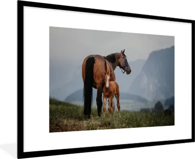 Produktbild von MuchoWow® MuchoWow® Gerahmtes Poster Pferd - Fohlen - Berg 90x60 cm - Poster mit zchwarzem Bilderrahmen - Wanddekoration - Fotos