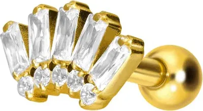Produktbild von Ohrpiercing Titan Ohrpiercing mit Innengewinde 10 EINGEFASSTE KRISTALLE Gold Stablänge: 6mm