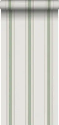 Obrázek produktu pro Sanders & Sanders tapeta pruhy zelená a béžová 53 cm x 10 m