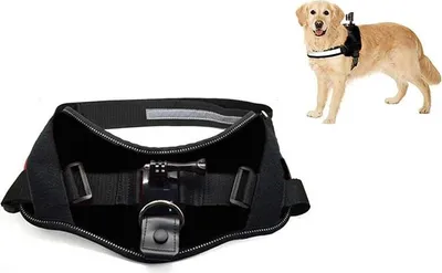 Produktbild von ACTIVEON ACM09DV, Hund, Hundegeschirr, 360°, Schwarz