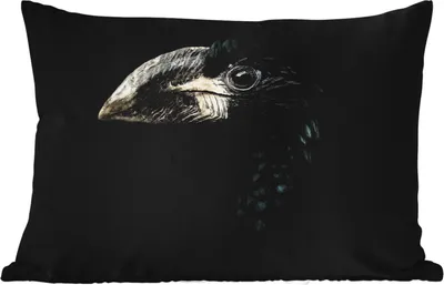 Produktbild von MuchoWow® Outdoor Kissen - Vogel - Porträt - Hornvogel - Schwarz - Tiere - 50x30 cm - Wetterfest - Lounge Kissen - Sofa kissen - Wohnzimmer Dekoration