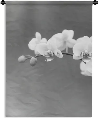 Produktbild von MuchoWow® Wandteppich Wandbehang Orchidee - Blumen - Pflanze - Weiß - Lila 150x200 cm Tapisserie Dekoration Wandtuch - Wandaufhängung - Moderner