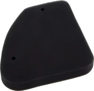 Image de Cartouche de filtre à air MotoForce Compatible avec Peugeot debout, noir