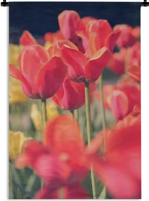 Produktbild von MuchoWow® Wandteppich Wandbehang Tulpen - Blumen - Natur 60x90 cm Tapisserie Dekoration Wandtuch - Foto-Teppich - Abwaschbar