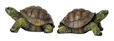 Produktbild von Dekofigur Schildkröte Set 2er Set Mehrfarbig 10x18cm