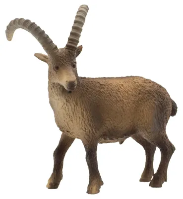 Produktbild von Bullyland 62755 - Spielfigur Steinbock, ca. 9 cm große Tierfigur, detailgetreu, PVC-frei, ideal als kleines Geschenk für Kinder ab 3 Jahren