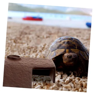 Produktbild von Schildkrötenplattform Sonnenplattform für Aquarien Kletterhilfe für Wasserschildkröten