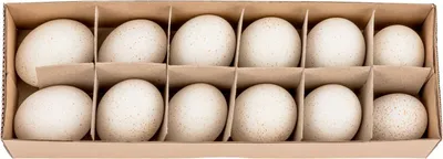 Produktbild von Truthahneier Natur, in einer Box mit 12 Stück, ausgeblasen und gereinigt | Puteneier