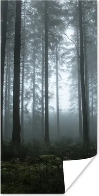 Produktbild von MuchoWow® Poster Wald - Licht - Nebel 60x120 cm - Wandschmuck